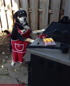 Choppy hopes some of those hot dogs are for her.