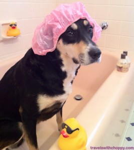 A model's life isn't as easy or glamorous as you might think.