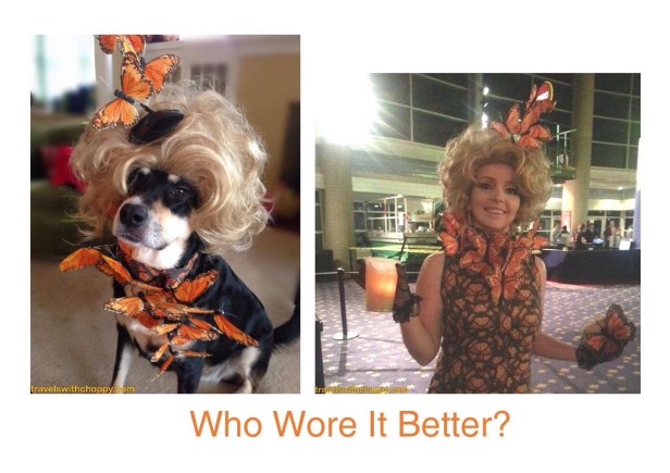 Who Wore It Better Hunger Games Style