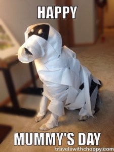 Happy Mother's Mummy's Day