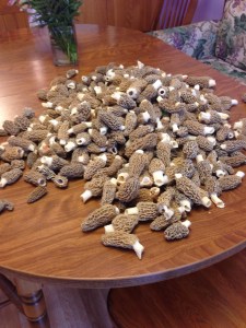 I'm pretty sure this is a good day of work.