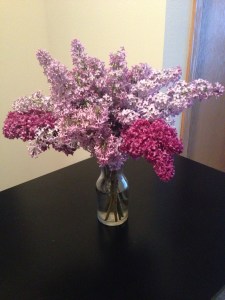 We didn't just find morels on the Sunday hunt. And these smelled far better.