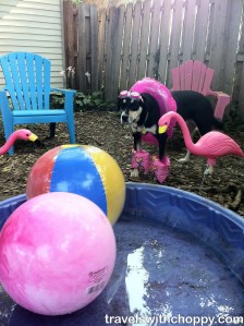 And, of course, what is summer without a pool?