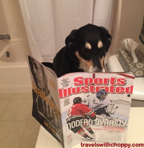 Choppy is still looking for the part where she learns how to keep me from humiliating her.