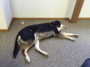 As always, there was sleeping on the job. 