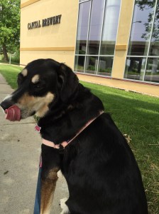 After all that tough work, Choppy definitely needed a beer.