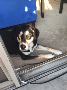 Some of us figure it is better to go inside and have some space.