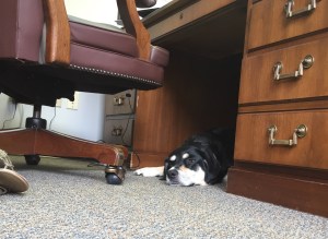 There was more sleeping on the job.