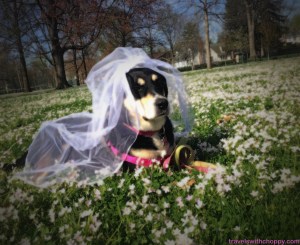 It's not a wedding shoot without a blurry, up-close look at the bride as she contemplates her marriage. Or when someone will finally bring her a glass of champagne.