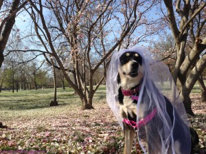 Gazing off into the distance, still wondering where that glass of champagne is.