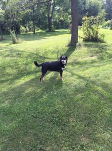 If you aren't going to work, hanging out in the country is a good alternative.