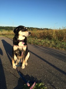 We got an early start Tuesday. I'm not usually one to get up too early on a road trip, but for reasons that should become clear in a future post, it was a necessity on this particular trip!