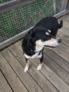 A quick picture of a Minnesota walk - more to come!