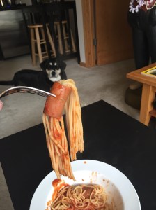 Here is the final product, ready to eat! (As you can see, not just humans were interested in the final product).