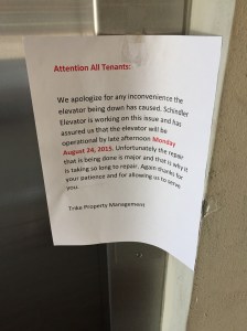It is important to maintain optimism while moving. For example, this is a sign on the elevator in our apartment building. We could have been attempting to move from an apartment that wasn't on the ground level (though that might have inspired us to just leave everything in the apartment to let someone else deal with it).