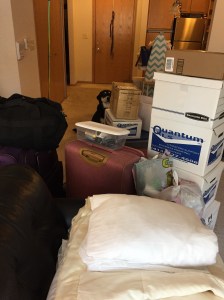 This was pretty much the living situation all weekend. Then again, it is still kind of the living situation, just in the new house rather than the apartment (which is pictured).