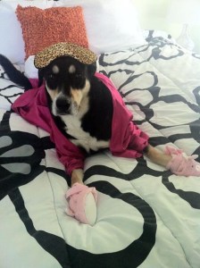 The bunny slippers cost $17. They were worth every penny.