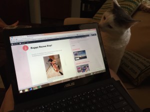 On Caturday, I learned that cats like bacon. Or dogs dressed in bacon as seen on computers.