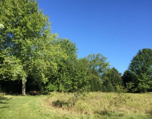 Don't look for Choppy in this picture, because she isn't there. It's just a bench and scenery.