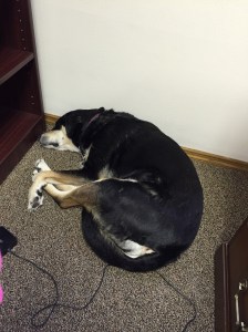 She's of no help with unpacking.