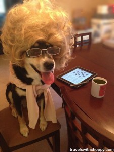 Oddly enough, neither Choppy nor I drink coffee. But we're not the kind who let that stop us from a good photo op!