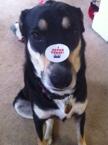 I'm pretty sure Choppy is not voting for whoever gave me this sticker.