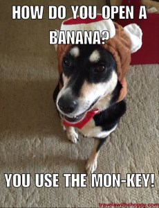 How do you open a banana? You use the mon-key!