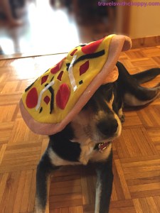 Choppy is not happy with the lack of pizza to eat. 