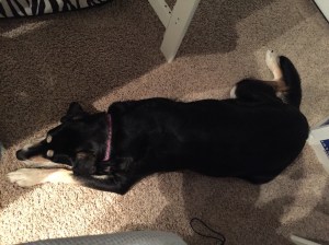 And again. This time, like a cat.