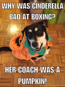 why was cinderella bad at boxing - her coach was a pumpkin
