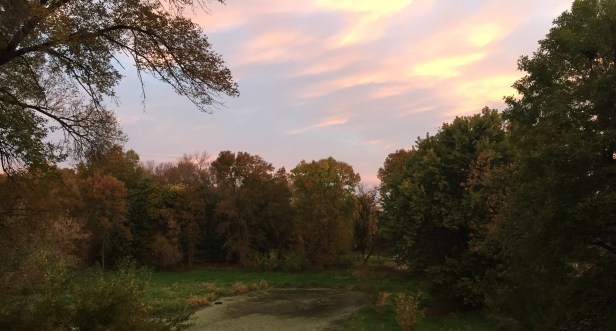 Our backyard yesterday morning. It's easy to take a good picture when the scenery is so pretty.