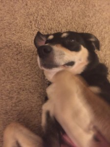 A little back roll is a chance for a picture.