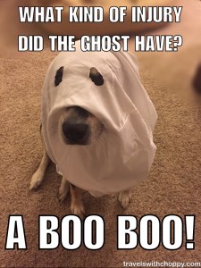 What kind of Injury did the ghost have? A boo boo!