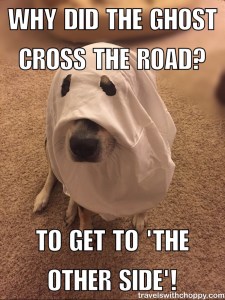 Why did the ghost cross the road? To get to 'the other side'!