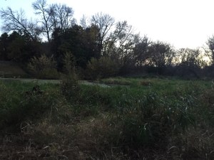 The answer on Tuesday!