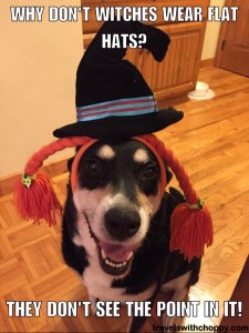 Why don't witches wear flat hats - they don't see the point in it