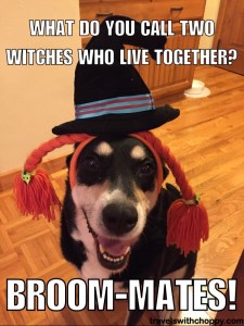 what do you call two witches who live together - broom mates