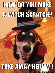 How to you make a witch scratch - take away her w