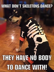 why don't skeletons dance - they have no body to dance with