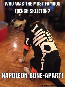 who was the most famous french skeleton - napoleon bone-apart