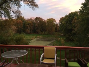Our deck was also "home to the lawn furniture that got unloaded off the truck and never set up" for the late-summer and early-fall.