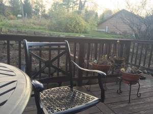 Where's Choppy This week?