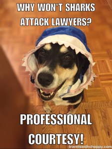 Professional Courtesy