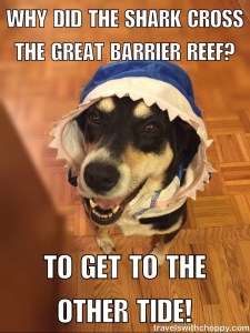 To Get to the Other Side