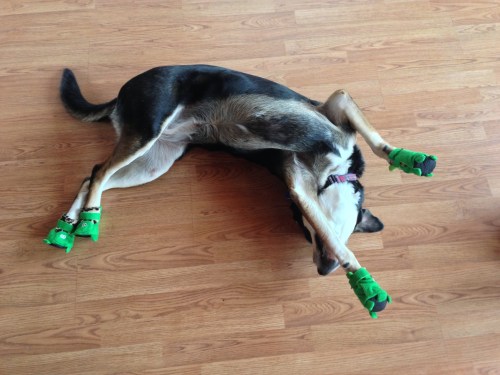 Dead Choppy in Booties