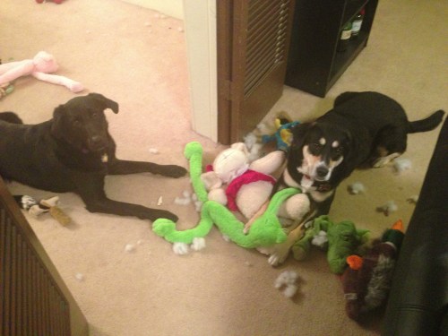 More Effective Toy Destruction