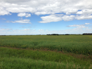 Like Alberta before it, Saskatchewan is flat. Very flat.