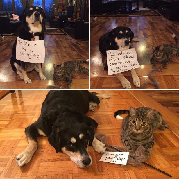 873cb434-a61e-4ab7-aaec-a28c27e7d657