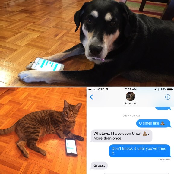 1c60db2f-706b-4093-b47b-9b2240c35029