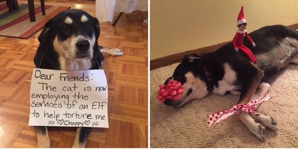 4c06719d-6fe5-489d-98c9-e26535bc09e1